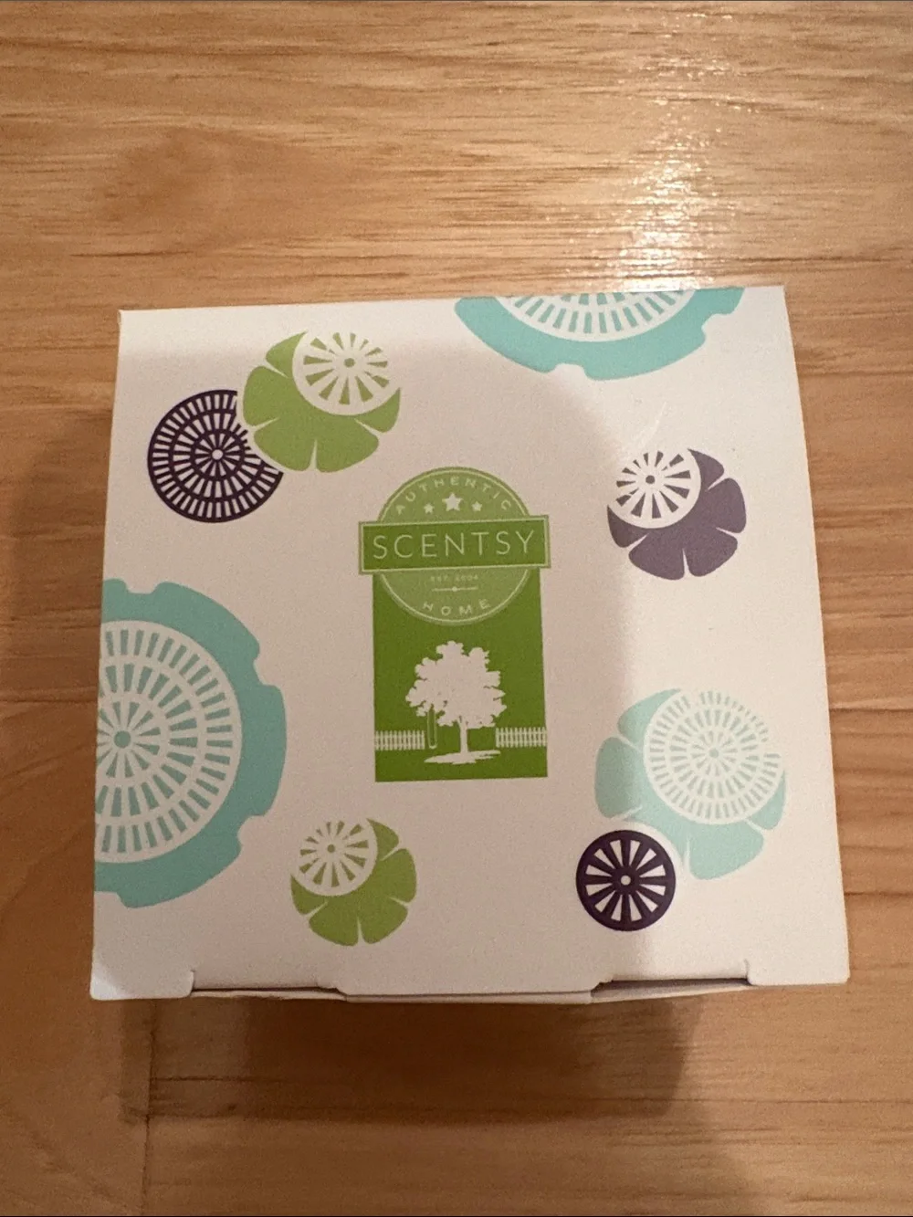Scentsy mini fan diffuser